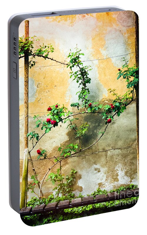 Beautiful Portable Battery Charger featuring the photograph Climbing rose plant by Silvia Ganora