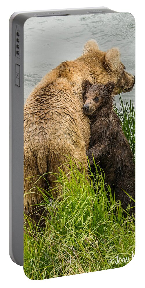 Alaska Portable Battery Charger featuring the photograph Clinging to mom by Joan Wallner