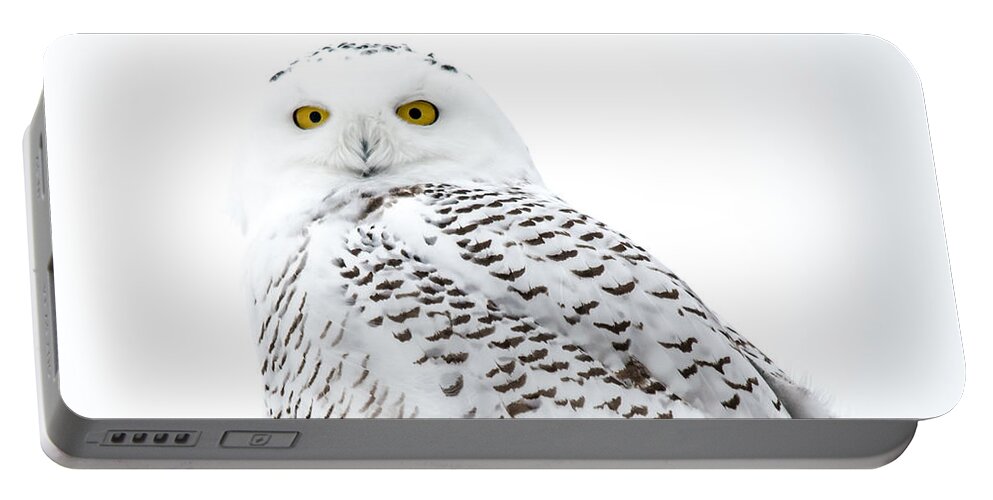 Field Portable Battery Charger featuring the photograph Close Up Snowy by Cheryl Baxter