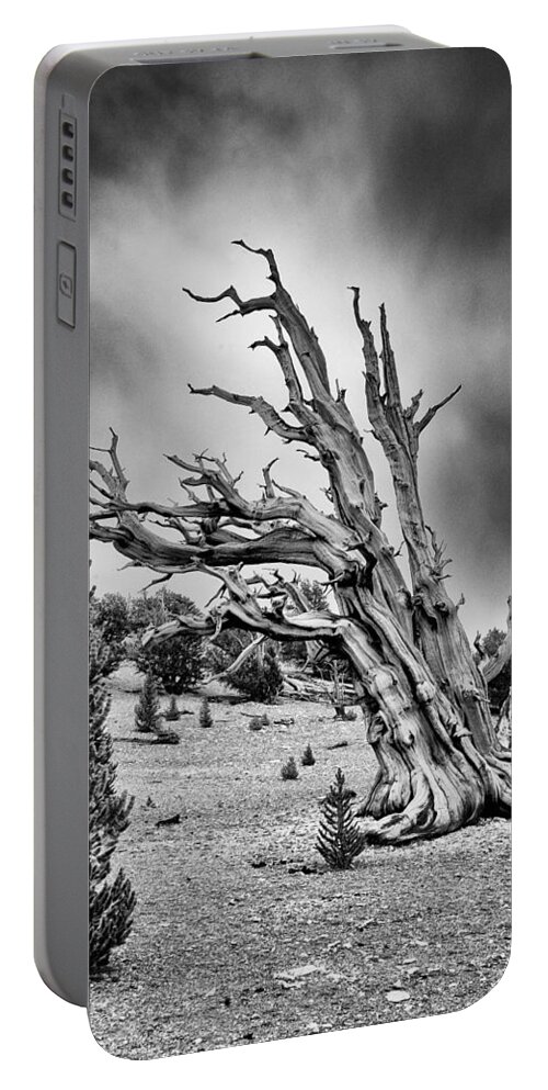 Tree Sky Cloudy Storm Summer Scenic Landscape Nature eastern Sierra Mountains Ancient Forest California black And White Portable Battery Charger featuring the photograph Closing In by Cat Connor