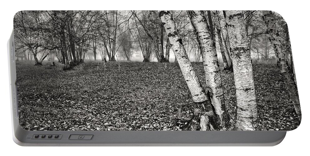 Clumping Birch Portable Battery Charger featuring the photograph Clumping Birch Trees And Fog by Theresa Tahara