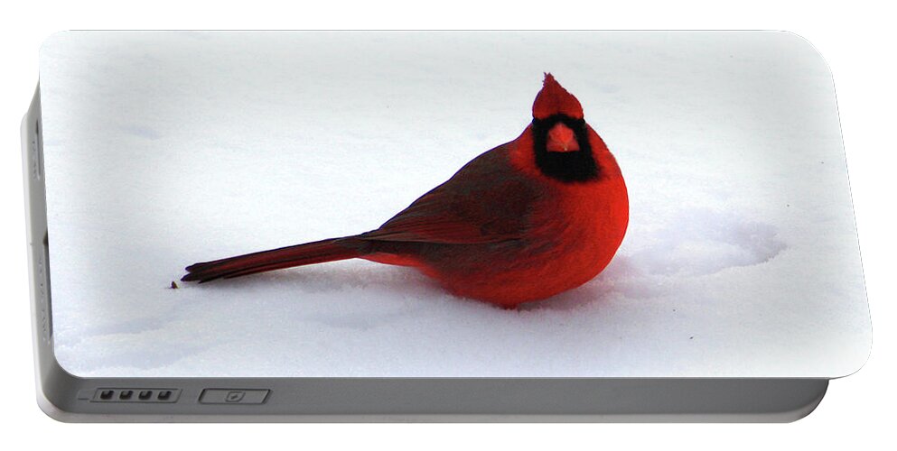 Cardinal Portable Battery Charger featuring the photograph Cold Seat by Alyce Taylor
