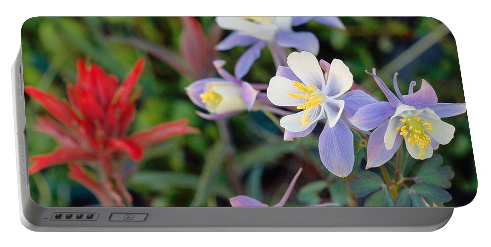 Colorado Portable Battery Charger featuring the photograph Colorado Blue Columbine by Eric Glaser