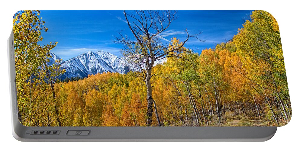 Aspens Portable Battery Charger featuring the photograph Colorado Fall Foliage Back Country View by James BO Insogna