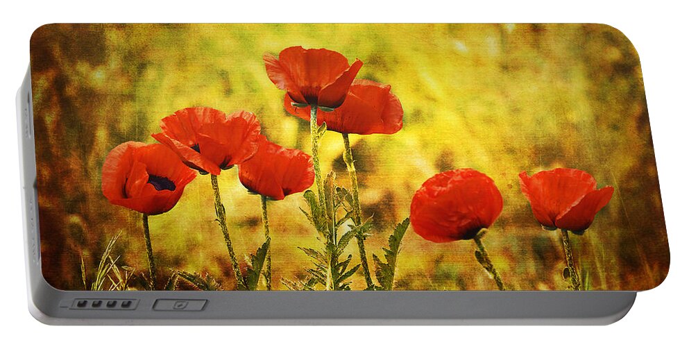 Red Portable Battery Charger featuring the photograph Colorado Poppies by Tammy Wetzel