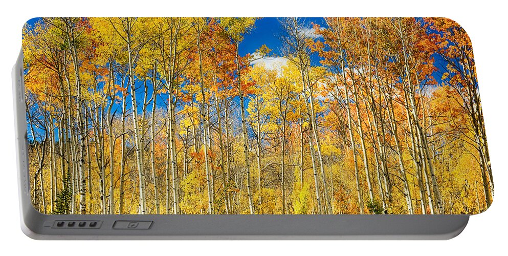 Aspen Portable Battery Charger featuring the photograph Colorful Colorado Autumn Aspen Trees by James BO Insogna