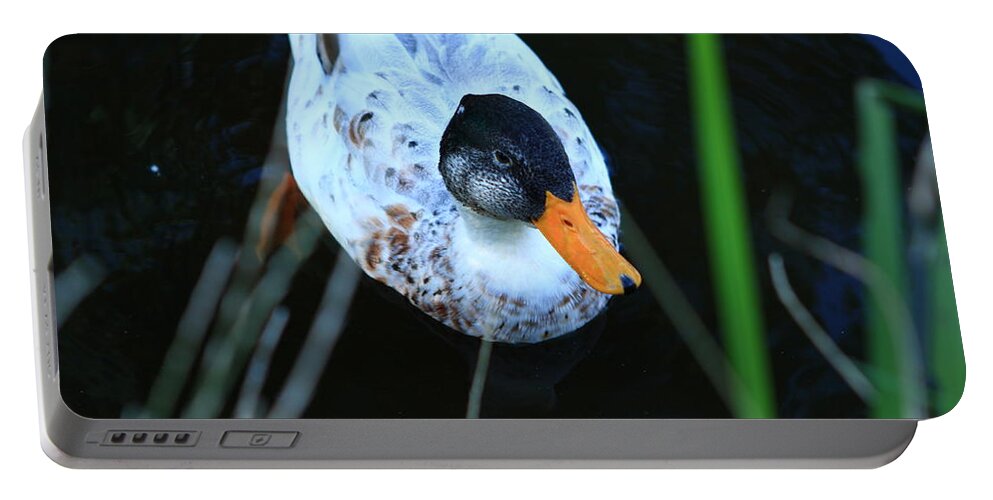 Duck Portable Battery Charger featuring the photograph Colorful Duck On The Canal by Aidan Moran