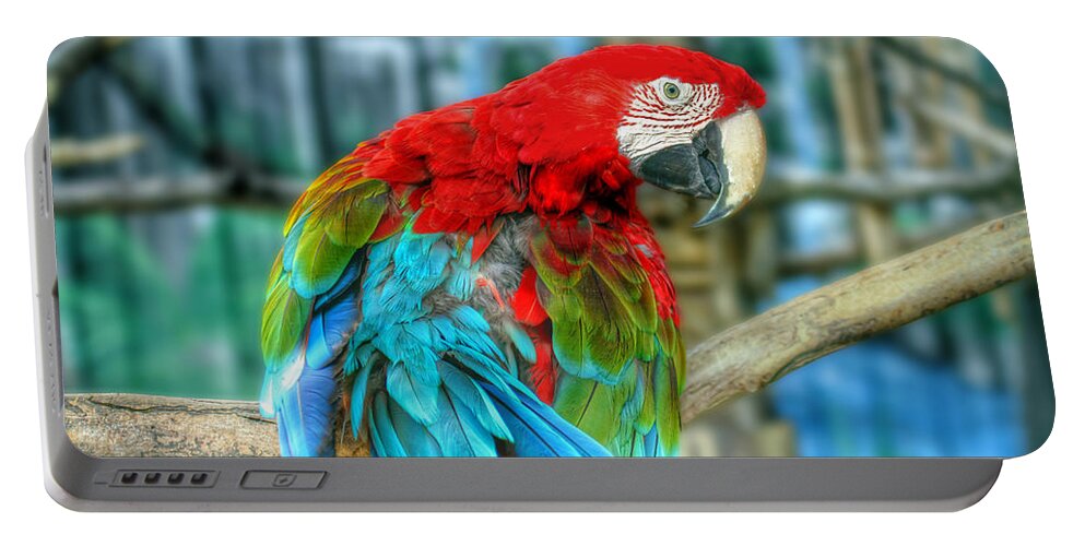 Parrot Portable Battery Charger featuring the photograph Colorful Feathers by Jackson Pearson