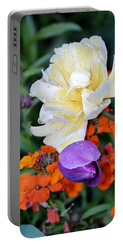 Flower Portable Battery Charger featuring the photograph Colorful Flowers by Cynthia Guinn