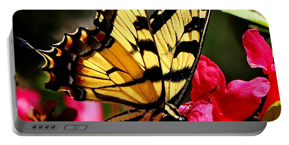 Nature Portable Battery Charger featuring the photograph Colorful Flying Garden by Nava Thompson