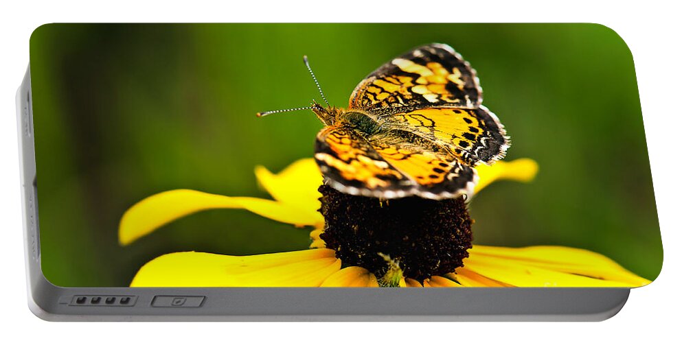 Photography Portable Battery Charger featuring the photograph Colorful Landing by Gwen Gibson