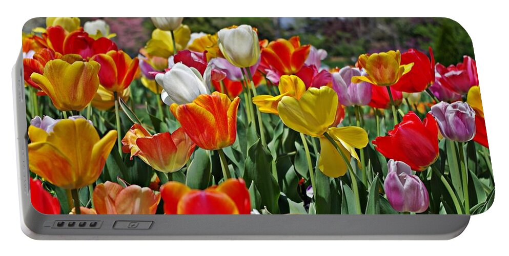 Colorful Tulips Portable Battery Charger featuring the photograph Colorful Tulips by Sharon Popek