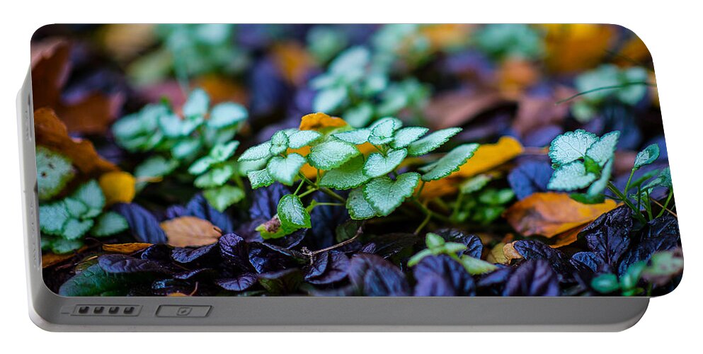 Plants Portable Battery Charger featuring the photograph Colors by David Downs