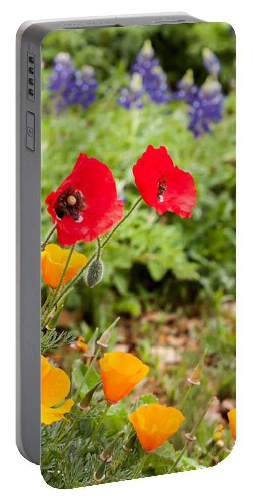 Bluebonnets Portable Battery Charger featuring the photograph Colors of Spring by Melinda Ledsome