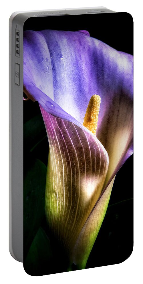 Flower Portable Battery Charger featuring the photograph Colors by Don Hoekwater Photography
