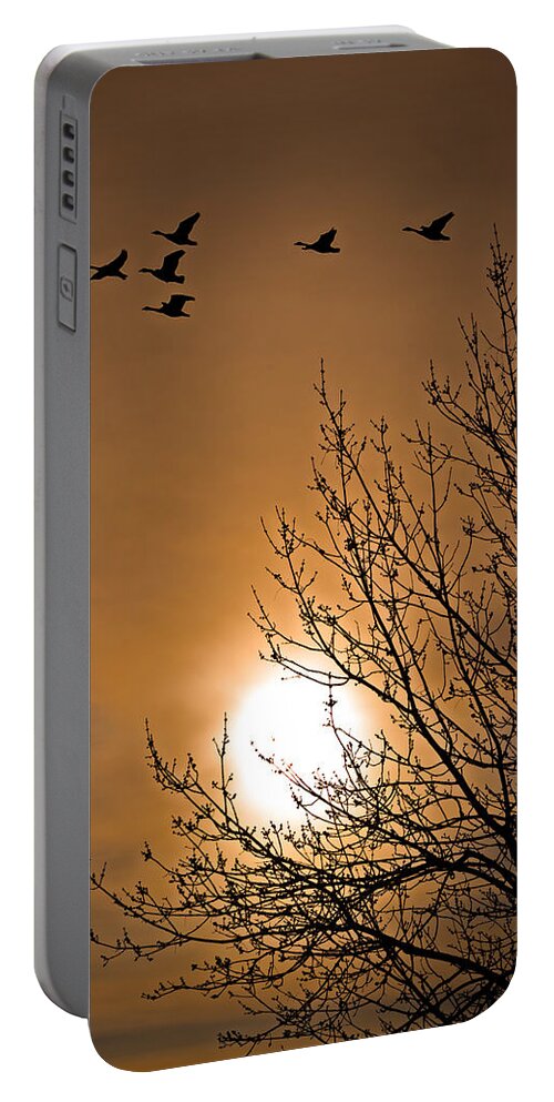 Geese Portable Battery Charger featuring the photograph Coming Home In The Spring by Bob Orsillo