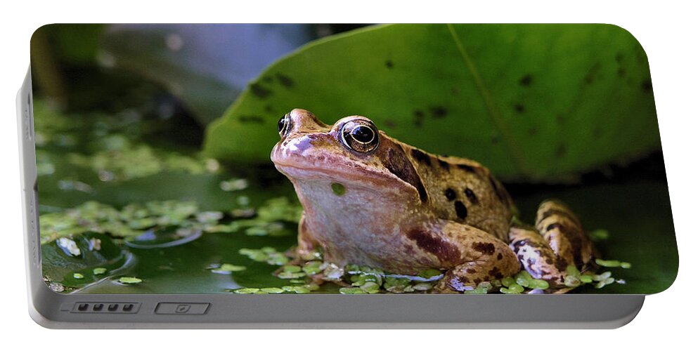 Frog Portable Battery Charger featuring the digital art Common frog by Ron Harpham