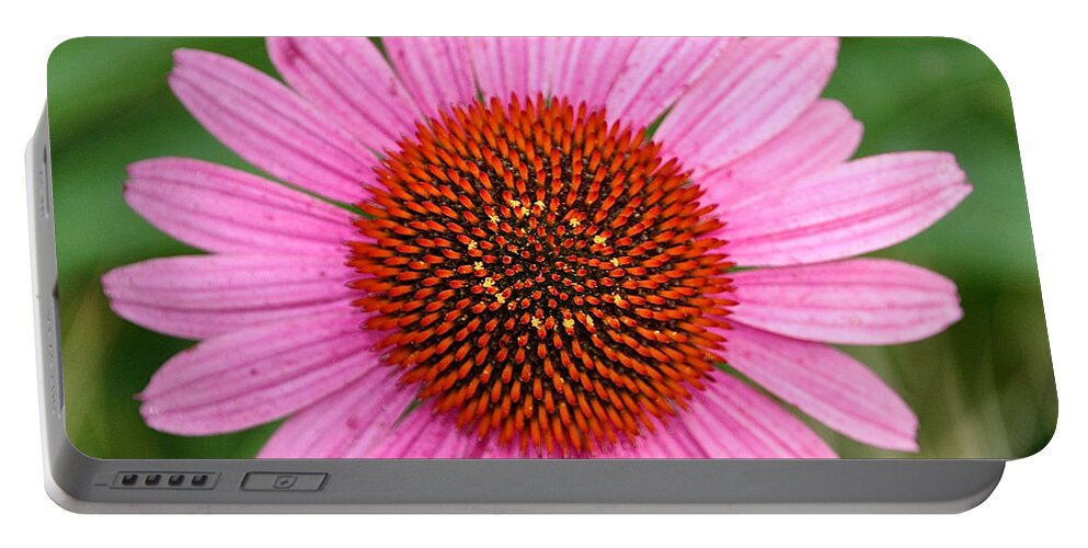 Flower Portable Battery Charger featuring the photograph Cone Flower Crown by Susan Herber
