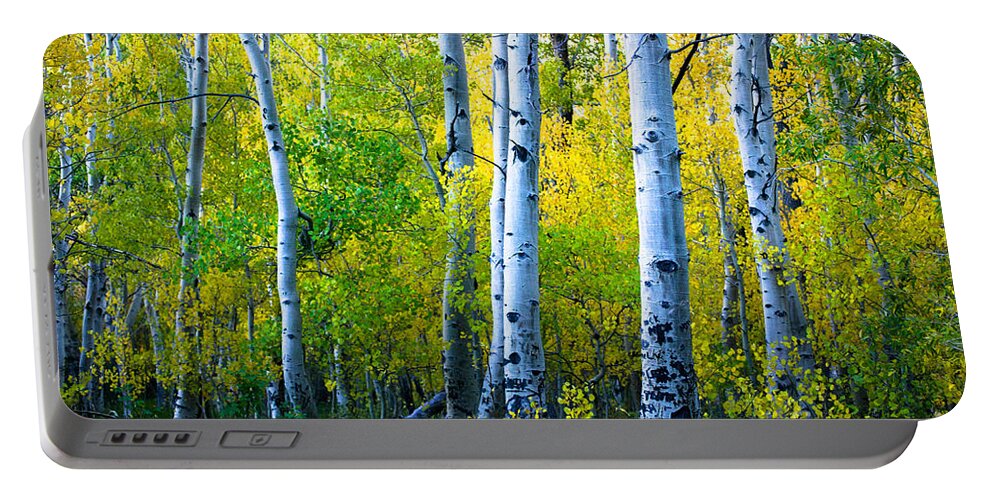Convict Lake Portable Battery Charger featuring the photograph Convict Lake Aspen Forest by Misty Tienken