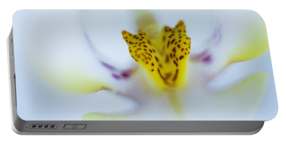 Blue Portable Battery Charger featuring the photograph Blue Orchid by Bradley R Youngberg