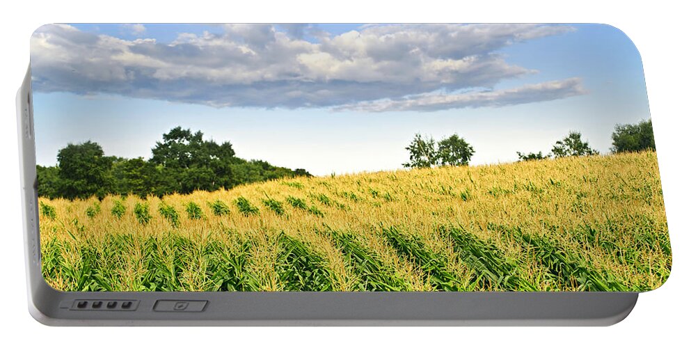 Agriculture Portable Battery Charger featuring the photograph Corn field 1 by Elena Elisseeva