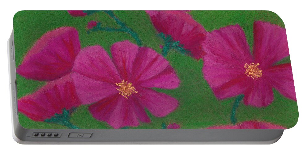Cosmos Portable Battery Charger featuring the pastel Cosmos by Anne Katzeff