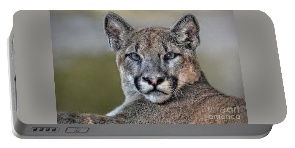 Cougar Portable Battery Charger featuring the photograph Cougar by Savannah Gibbs