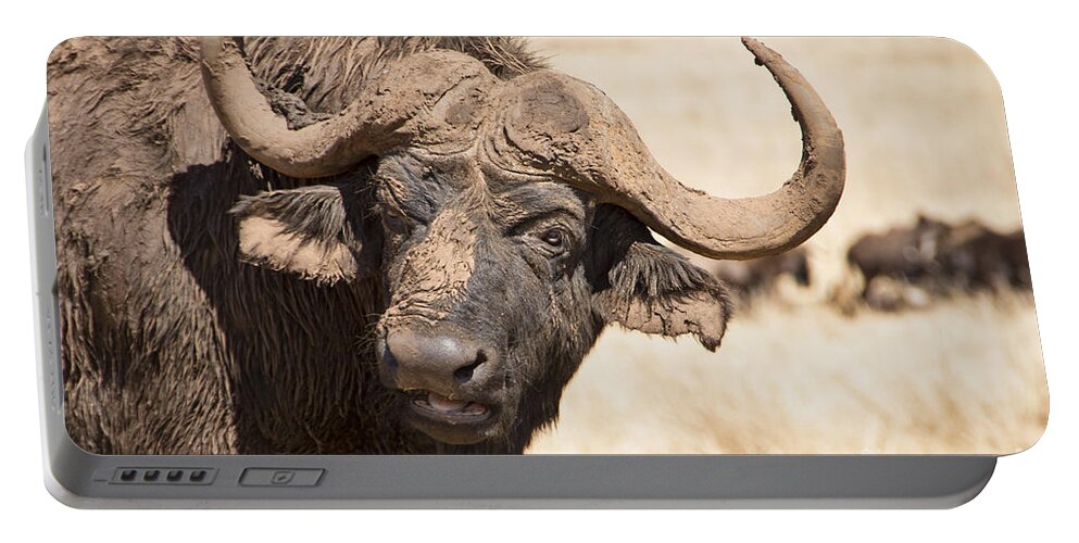 African Buffalo Portable Battery Charger featuring the photograph Covered in Mud V4 by Douglas Barnard