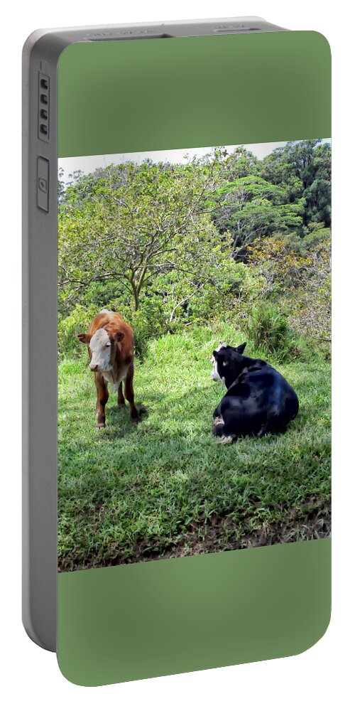 Cattle Portable Battery Charger featuring the photograph Cow 4 by Dawn Eshelman