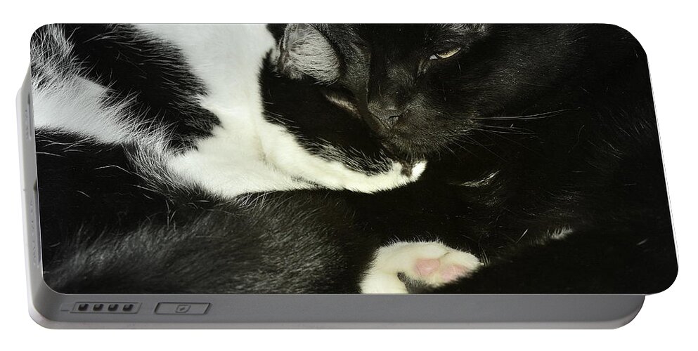 Cat Portable Battery Charger featuring the photograph Cozy by Kathy Barney