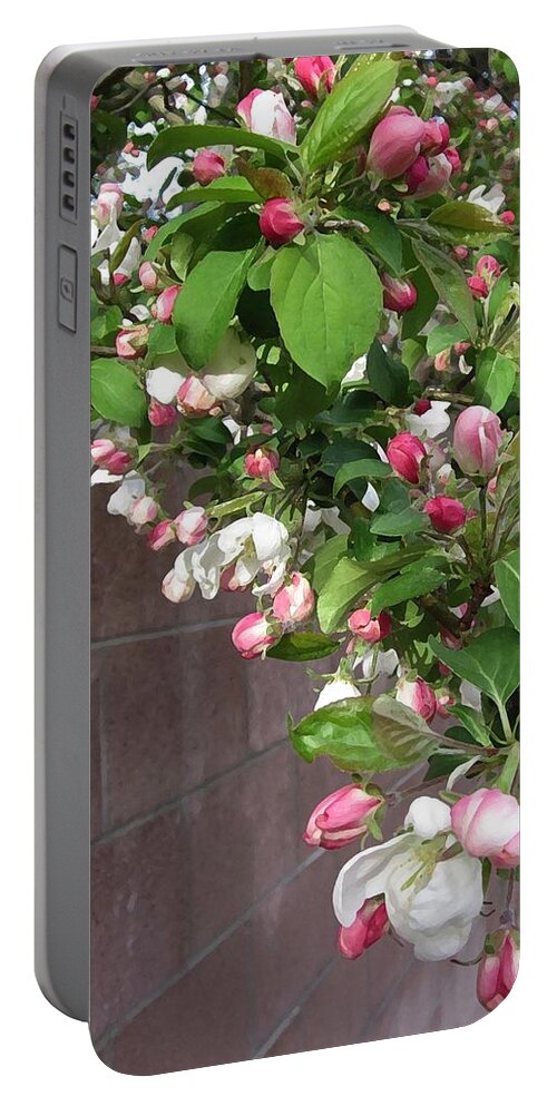 Crabapple Blossoms Portable Battery Charger featuring the photograph Crabapple Blossoms and Wall by Donald S Hall