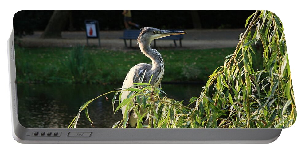 Crane Portable Battery Charger featuring the photograph Crane In Evening Light by Aidan Moran