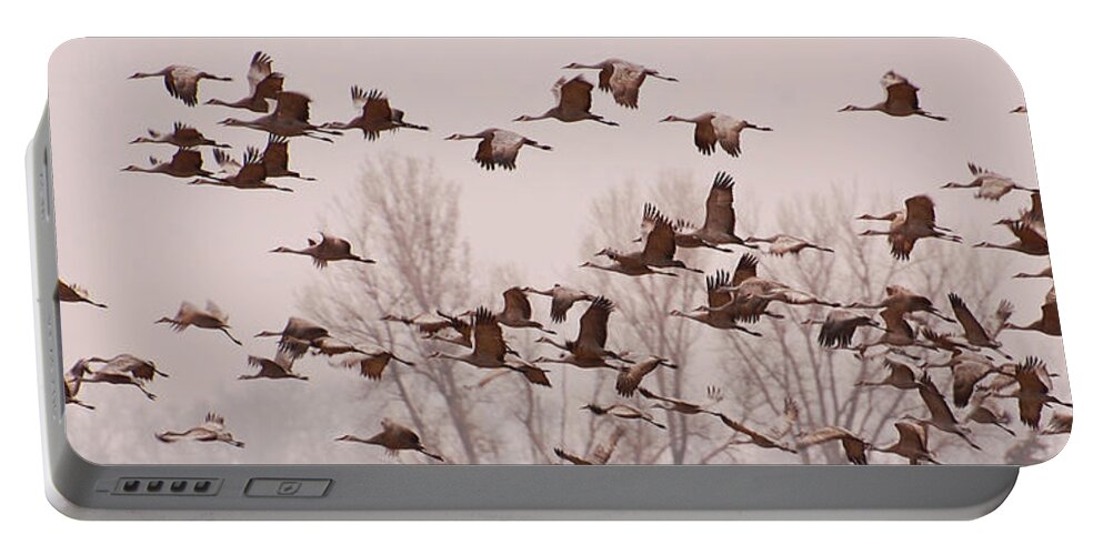 Cranes Portable Battery Charger featuring the photograph Cranes Across the Sky by Don Schwartz