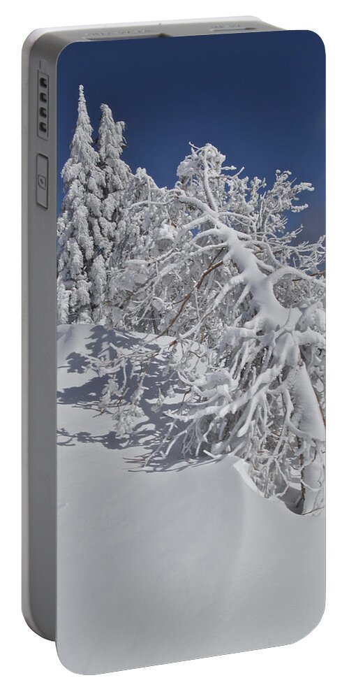 Crater Lake Portable Battery Charger featuring the photograph Crater Lake Trees 2 by Todd Kreuter