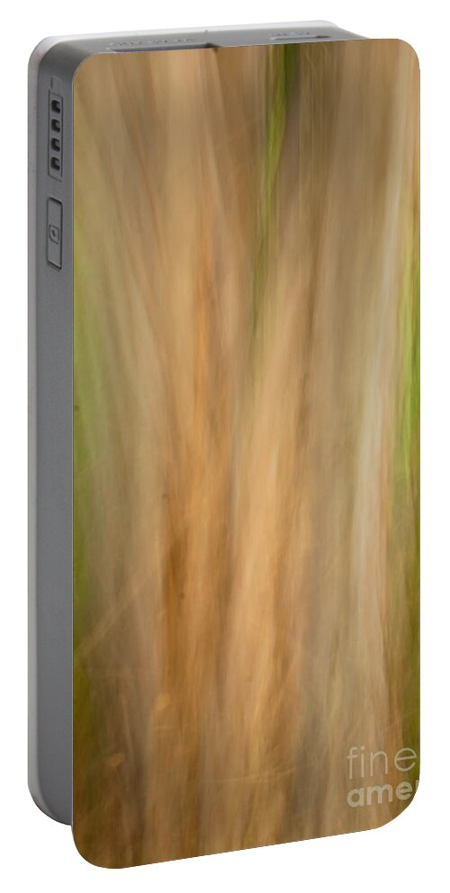 Photography Portable Battery Charger featuring the photograph Crepe Myrtle Trunk - Panned by Kathleen K Parker