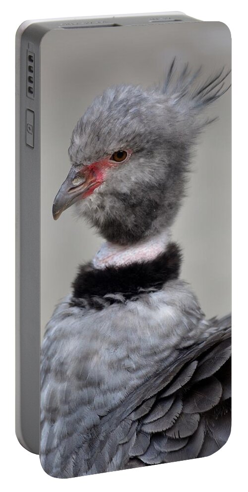 Crested Screamer Portable Battery Charger featuring the photograph Crested Screamer by Richard Bryce and Family