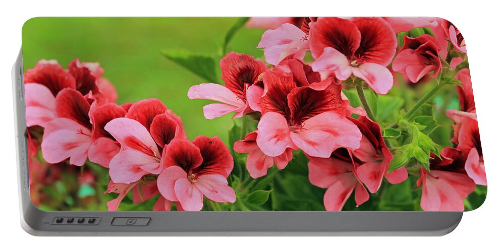 From The Garden Portable Battery Charger featuring the photograph Crimson and Coral by E Faithe Lester
