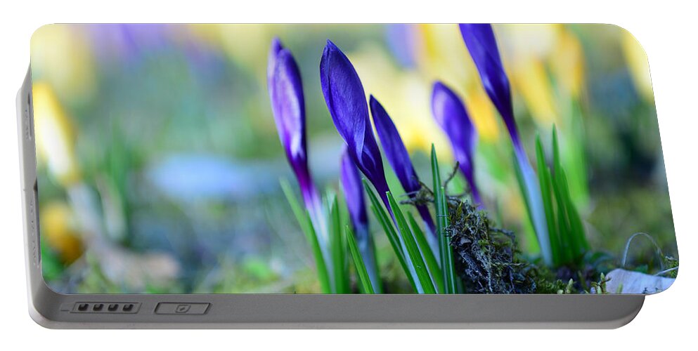 Bokeh Portable Battery Charger featuring the photograph Crocus by Hannes Cmarits
