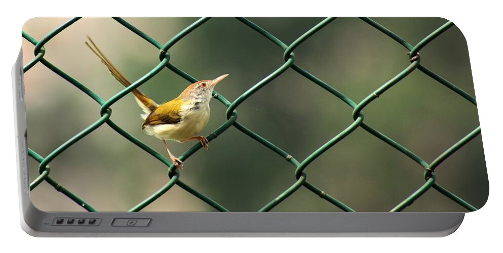 Common Tailorbird Portable Battery Charger featuring the photograph Cross Stitch by Ramabhadran Thirupattur