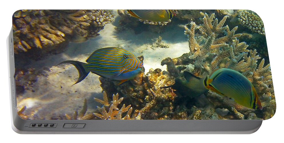 Tropical Fish Portable Battery Charger featuring the photograph Cruisin by Corinne Rhode