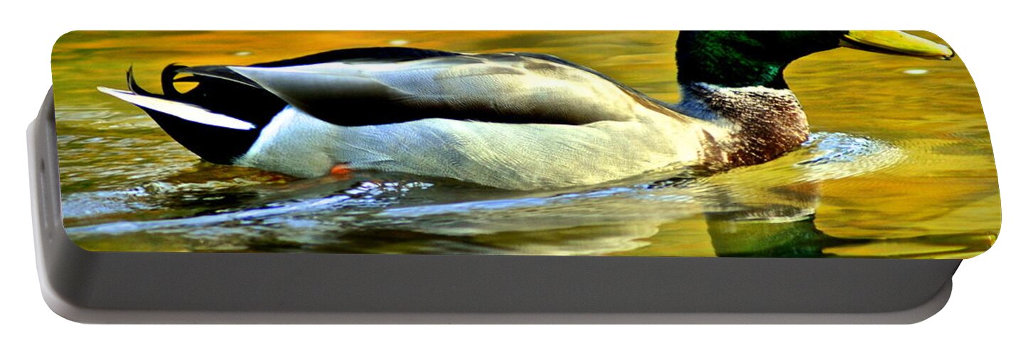 Mallard Portable Battery Charger featuring the photograph Cruisin by Frozen in Time Fine Art Photography