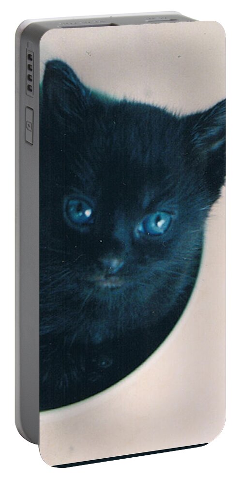 Cat Portable Battery Charger featuring the photograph Cup O'Kitty by Seth Weaver