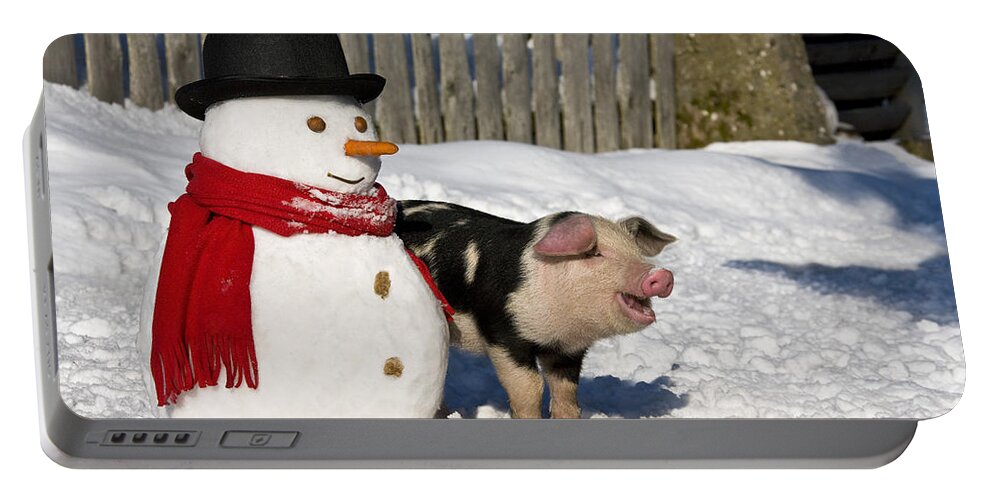 Piglet Portable Battery Charger featuring the photograph Curious Piglet And Snowman by Jean-Louis Klein and Marie-Luce Hubert