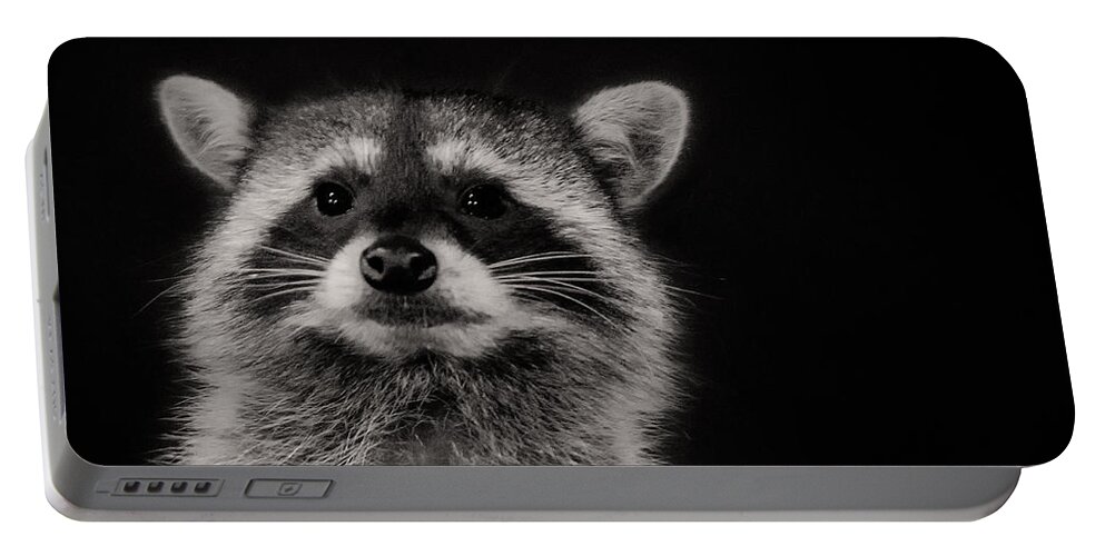 Raccoon Portable Battery Charger featuring the photograph Curious Raccoon by Linda Villers