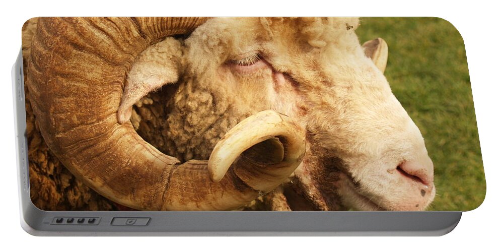 Ram Portable Battery Charger featuring the photograph Curly-horned Ram by Anna Lisa Yoder