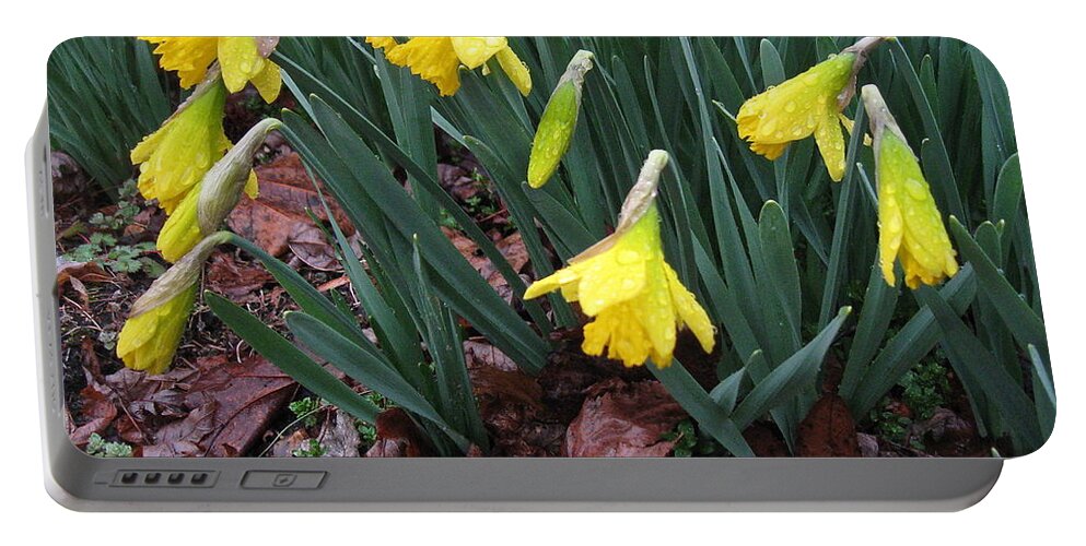 Daffodils Portable Battery Charger featuring the photograph Daffodils in the Rain by Nancy Patterson