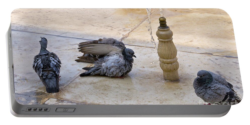 Pigeons Bathing Portable Battery Charger featuring the photograph Daily bathing by Elena Perelman