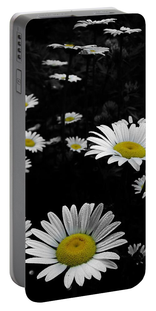 Daisy Portable Battery Charger featuring the photograph Daisies by Gary Blackman