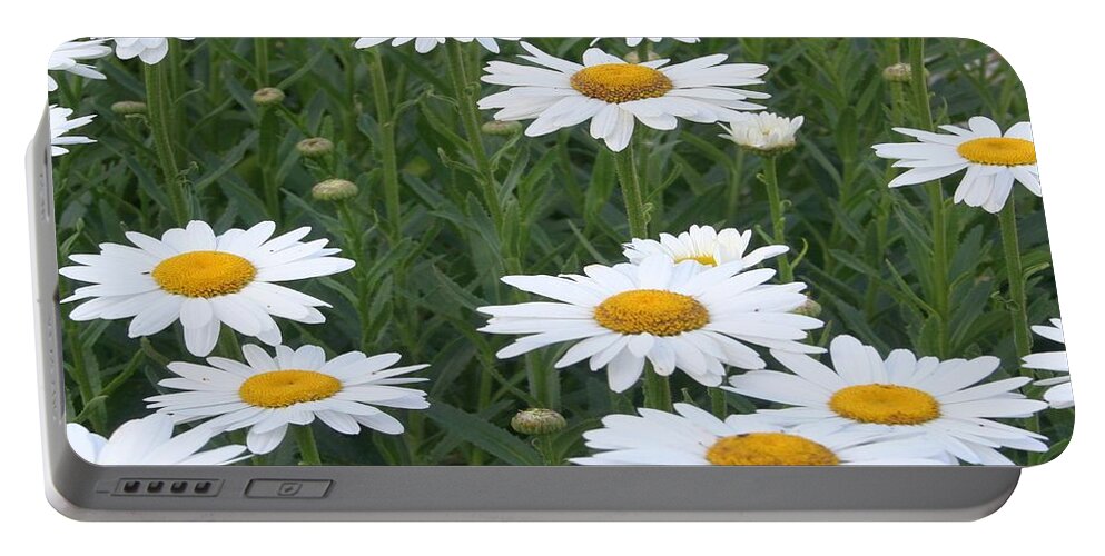 Common Daisy Portable Battery Charger featuring the photograph Daisies by Taiche Acrylic Art