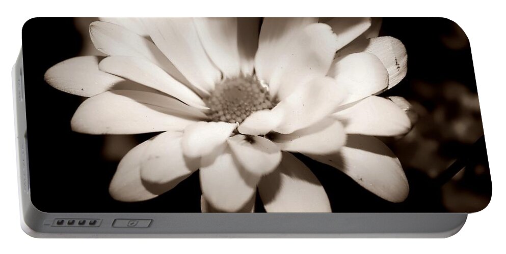 Flower Portable Battery Charger featuring the photograph Daisy by Debra Forand